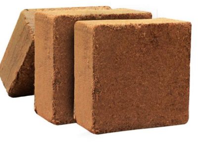 Cocopeat Blocks