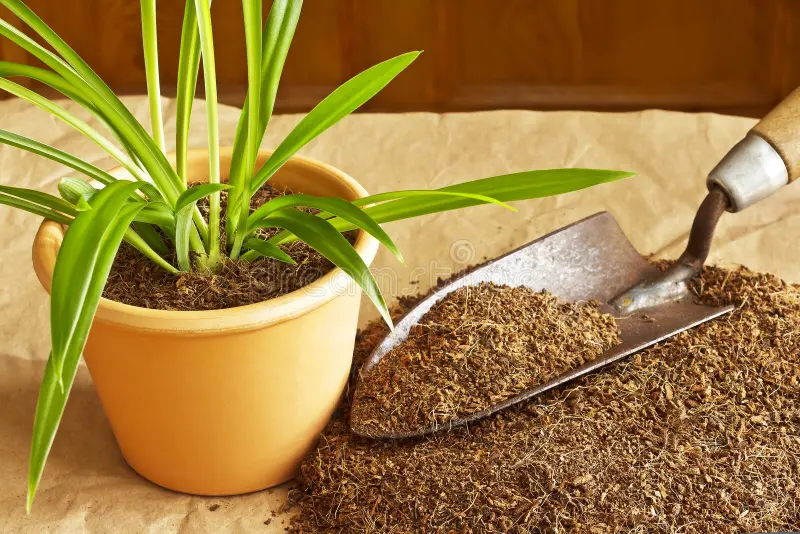 Container and Indoor Gardening