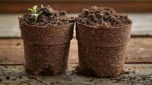 Emerging Uses of Cocopeat