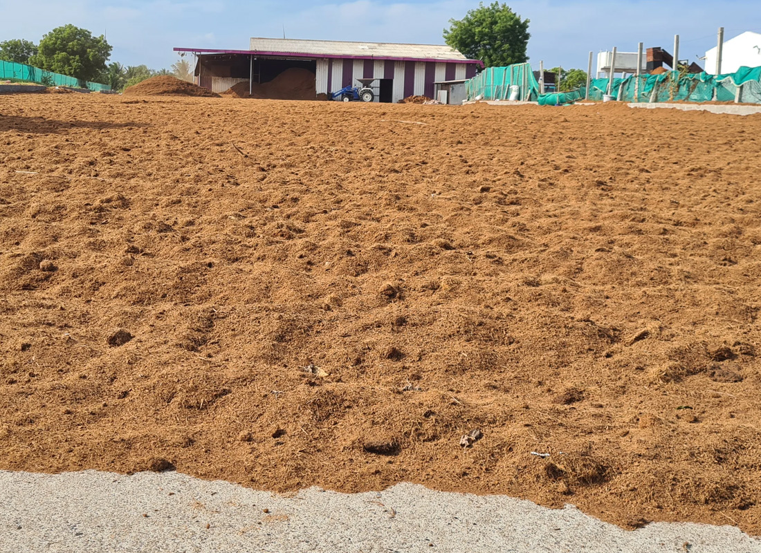 Solar and thermal drying
