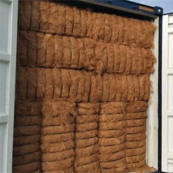 Premium Baby Coir in Bales