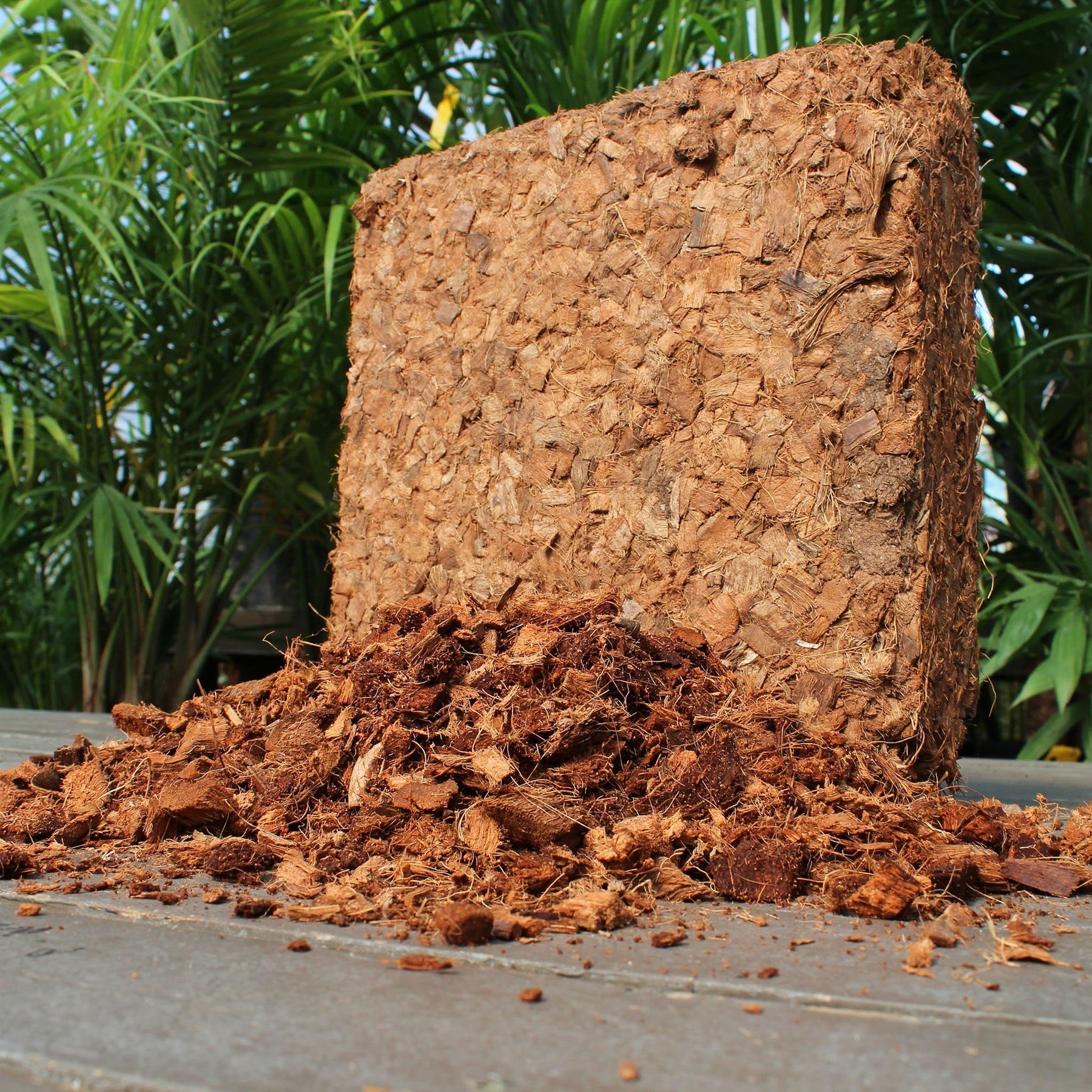 Premium High EC Coco Husk Chip Blocks